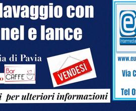 372/17 provincia di Pavia AUTOLAVAGGIO con tunnel