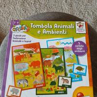 tombola degli animali e ambienti