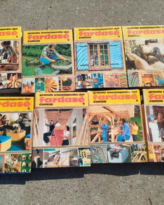 raccolta " Grande enciclopedia del far da sé ' , v