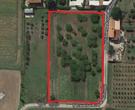 Terreno agricolo