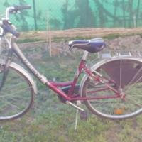 bicicletta da donna taglia media