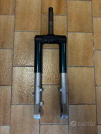 Forcella piaggio si