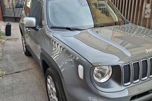 jepp renegade 