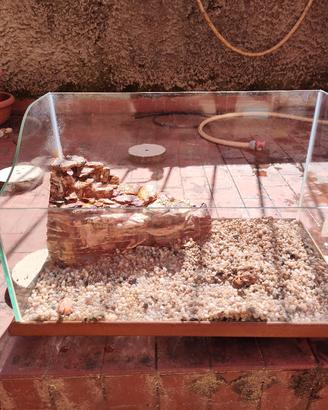 acquario per tartarughe 