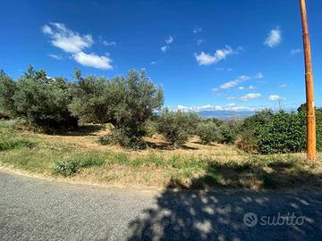 Terrendo edificabile 4.175 mq