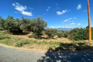 Terrendo edificabile 4.175 mq