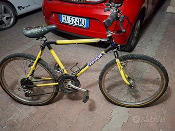 Bicicletta ragazzo