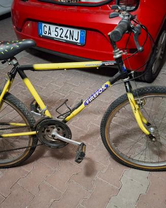 Bicicletta ragazzo