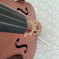 violoncello 