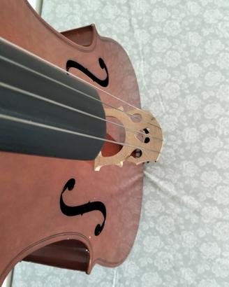 violoncello 