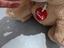 Immagine 3