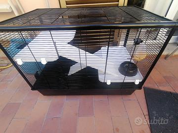 gabbia per roditori