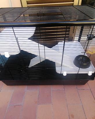 gabbia per roditori