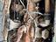 Immagine 6