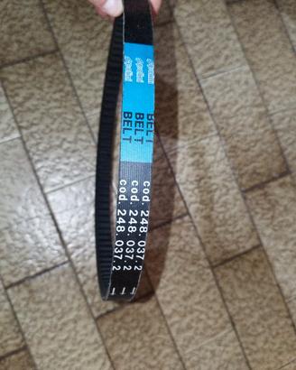 cinghia Polini belt 