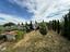 Immagine 28