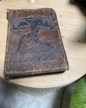 Miniatura libro