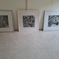 TRIS DI QUADRI ZEBRE 