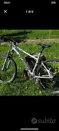 bici specialized