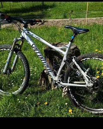 bici specialized