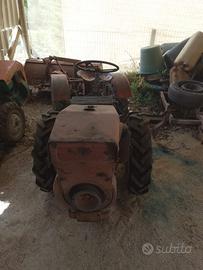 Trattore Pasquale 18cv