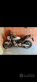Honda Hornet 
