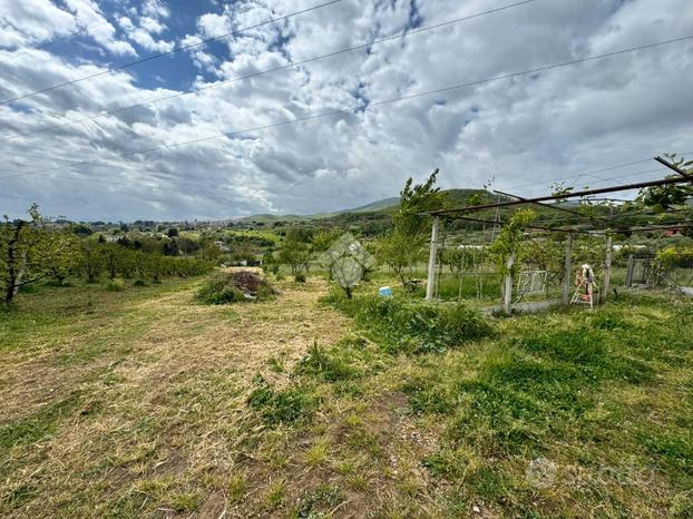 TER. AGRICOLO A SAN CESAREO