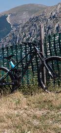 mondraker foxy r 2019