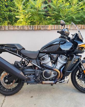 Harley-davidson Pan America 1250 Special