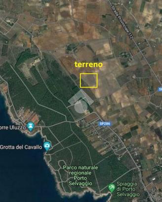 TER. AGRICOLO A NARDÒ