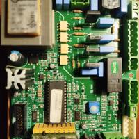 Scheda Extraflame Dal Zotto 