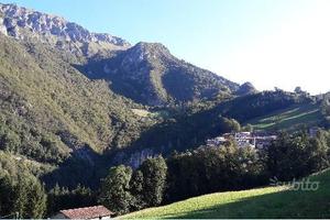 Casa vacanza intera immersa nel verde