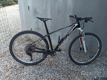 mtb focus raven 29