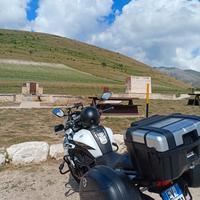 Benelli TRK 502x - 2021