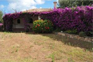 RGE 78/2022 Trib Tempio Pausania