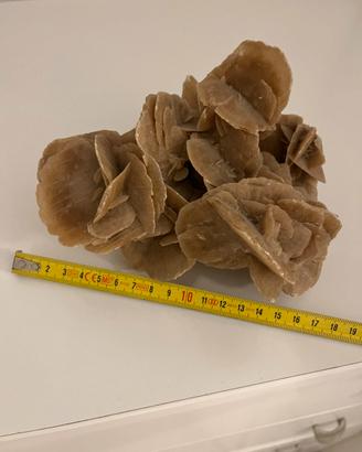 Rosa del deserto