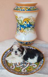 Cucciola di Shihtzu