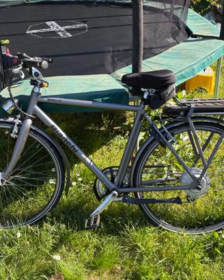 Bici elettrica