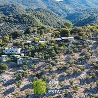 Tenuta agricola di 7 HA con casale di 240 mq