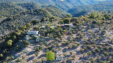 Tenuta agricola di 7 HA con casale di 240 mq