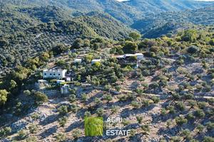 Tenuta agricola di 7 HA con casale di 240 mq