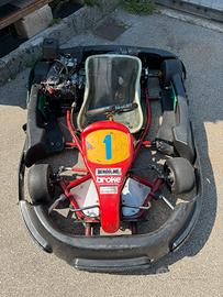 Kart Birel 270cc 9 cv motore Honda