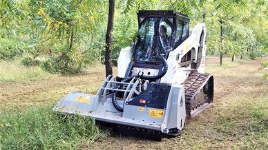 trincia arbusti rovi terreni 