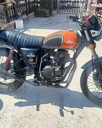 mash scrambler 400