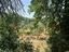 Immagine 28