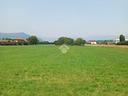ter-residenziale-a-santa-giustina-in-colle