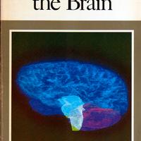 THE BRAIN — A "Scientific American" Book (1979)