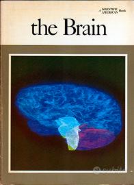 THE BRAIN — A "Scientific American" Book (1979)