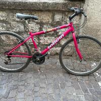 Bicicletta MTB Jumpertrek