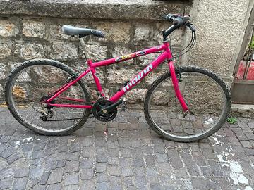 Bicicletta MTB Jumpertrek